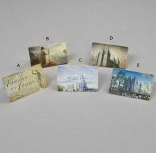 LDS Recommend Holders #715 - White Elegance